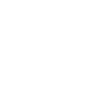 icon maison