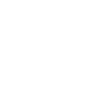 icon tribunal